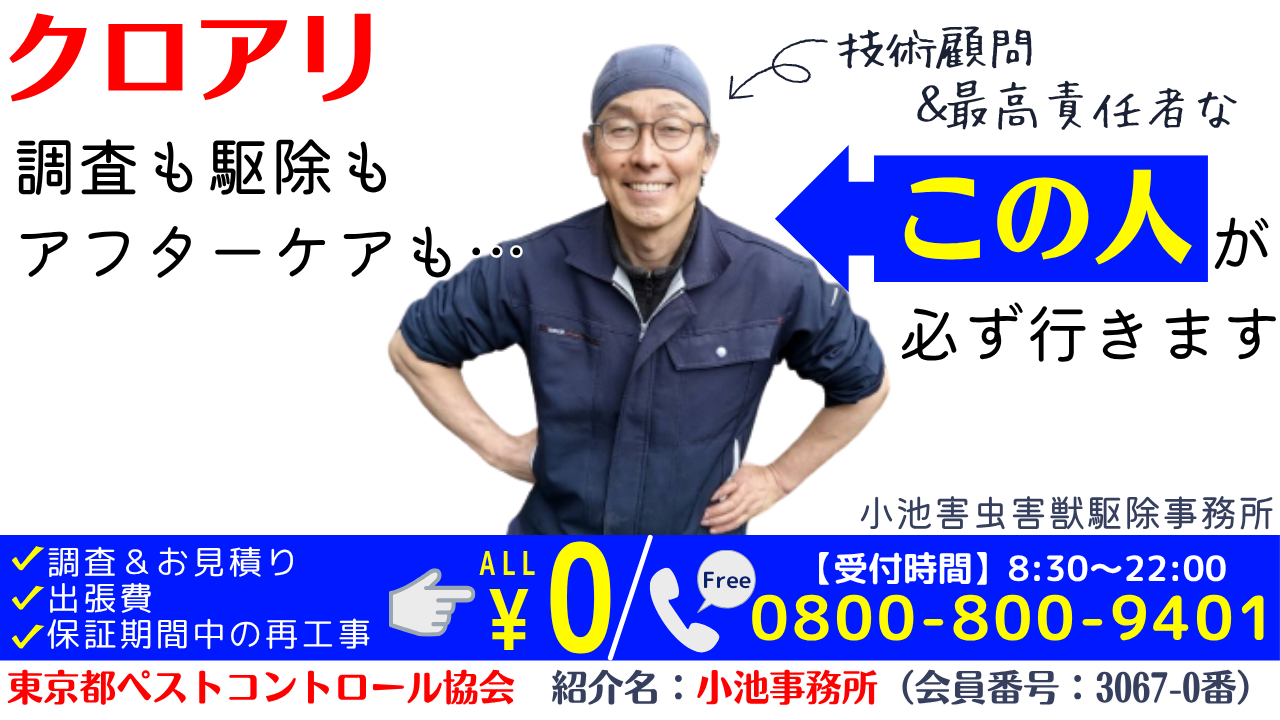 【クロアリ駆除】ペストコントロール協会による紹介名「小池事務所」の