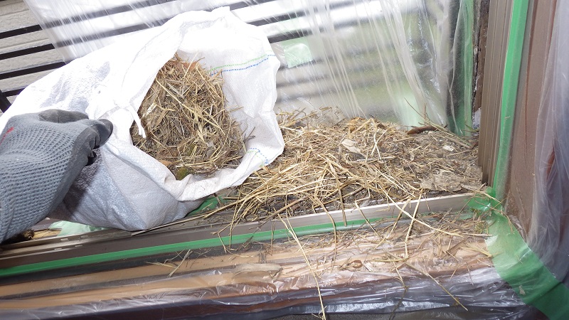 5.かき出した巣材           