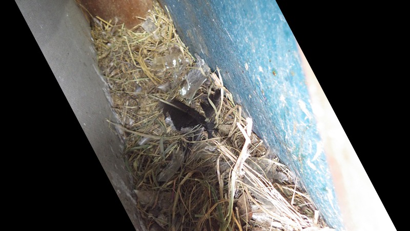 6.かき出し作業継続           